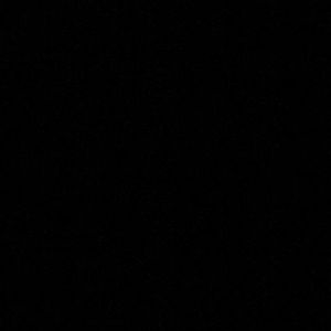 Meet your Posher, Allen